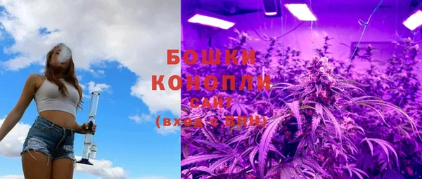 2c-b Белокуриха